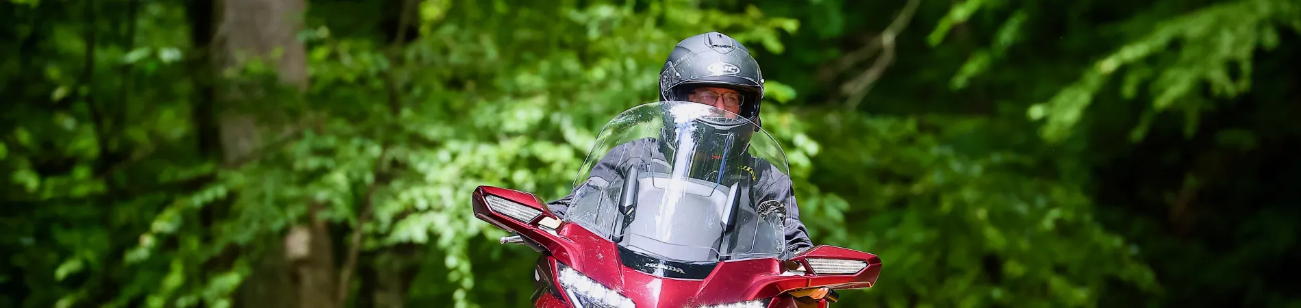 Goldwing